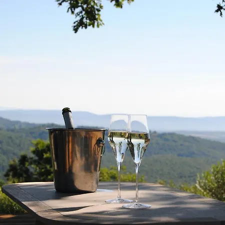 Vin - Wine And