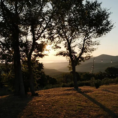 Vin - Wine And Lantgård Montieri