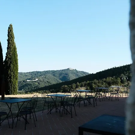 Vin - Wine And *