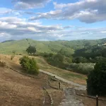Vin - Wine And Montieri