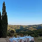 Vin - Wine And Montieri