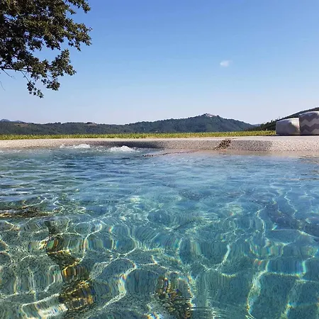 Çiftlik konaklama Vin - Wine And *