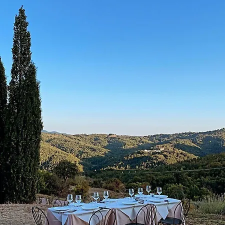 Vin - Wine And Montieri