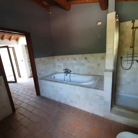 Vin - Wine And * Montieri