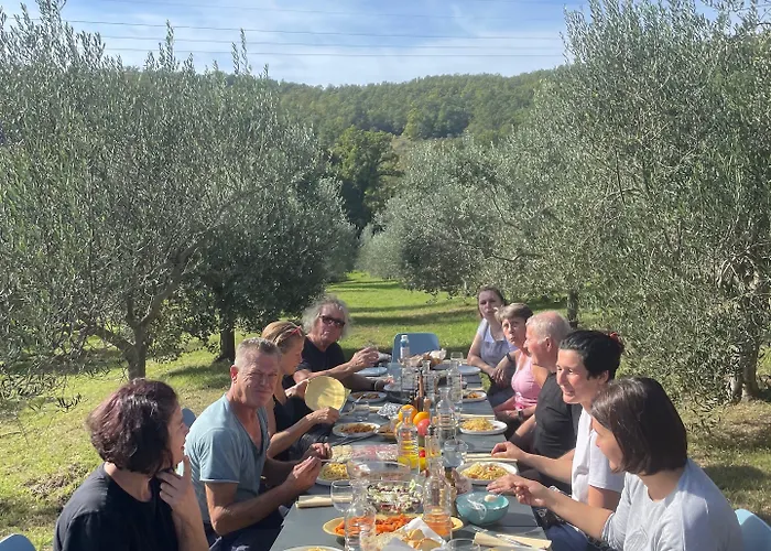 Farma Vin - Wine And