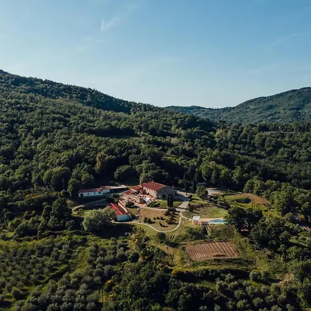 Bauernhof Vin - Wine And Montieri