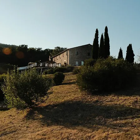 Vin - Wine And * Montieri