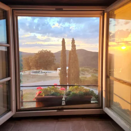 Vin - Wine And *
